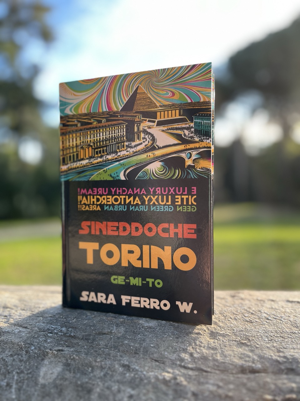 Sineddoche Torino