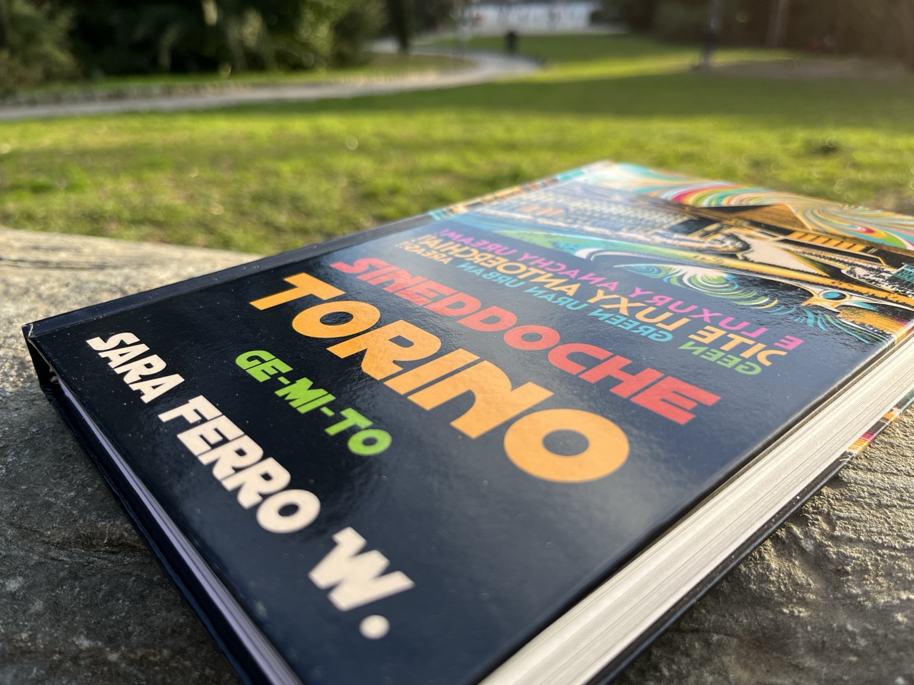 Sineddoche Torino